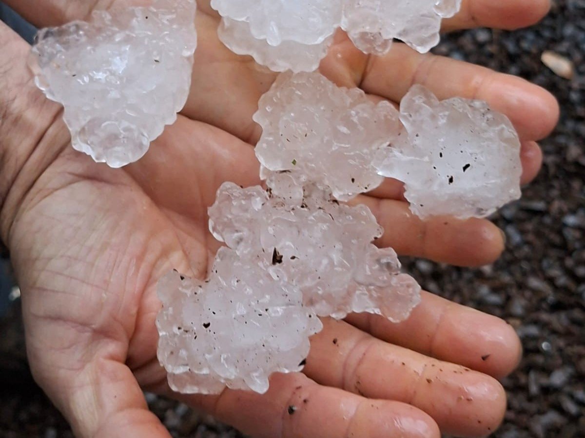 Granizo acumulado sobre o chão e vegetação em Joaçaba