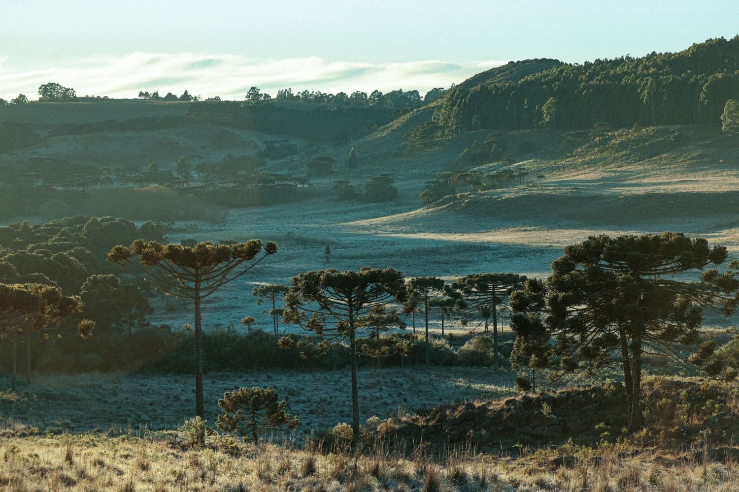 Pessoas agasalhadas em ambiente externo durante dia de frio em Santa Catarina
