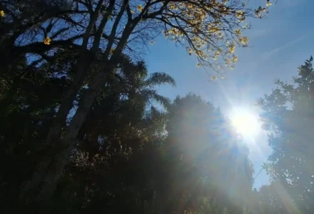 Sol volta a aparecer e temperaturas passam dos 30°C em SC