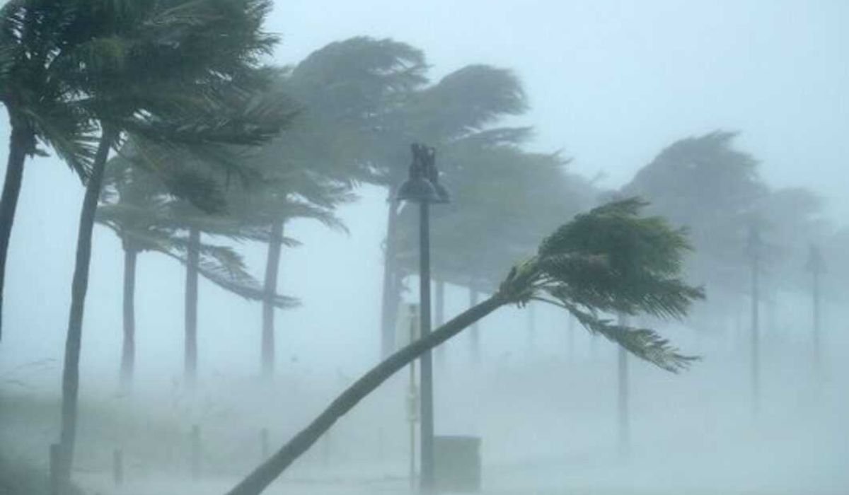 Ciclone extratropical provoca ventos fortes, com rajadas que movimentam árvores durante a tempestade.