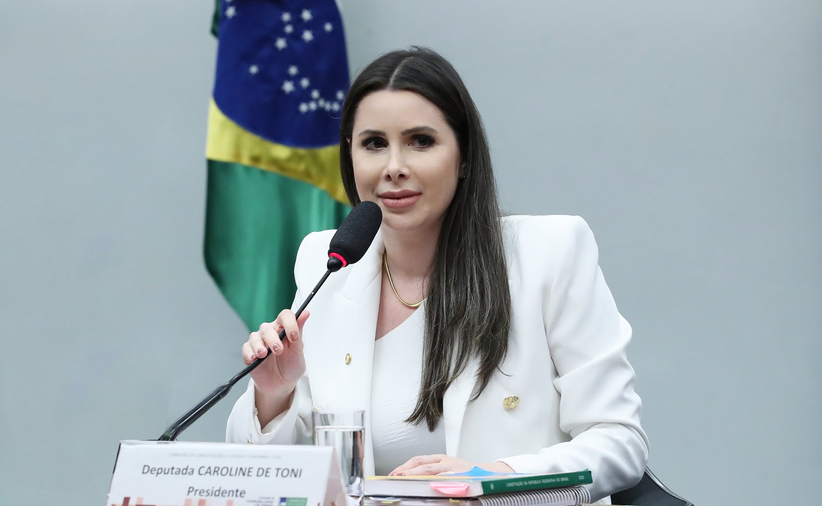 Em 2025, ela foi escolhida pelo voto popular como a melhor deputada federal de Santa Catarina.Foto: Bruno Spada/Câmara dos Deputados/Reprodução/ND Mais