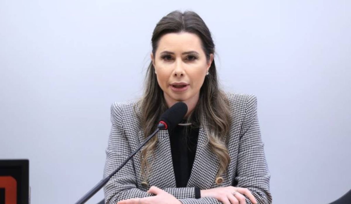 A comparação entre as duas declarações mostra uma mudança significativa na composição dos bens.Foto: PL/Reprodução/ND Mais