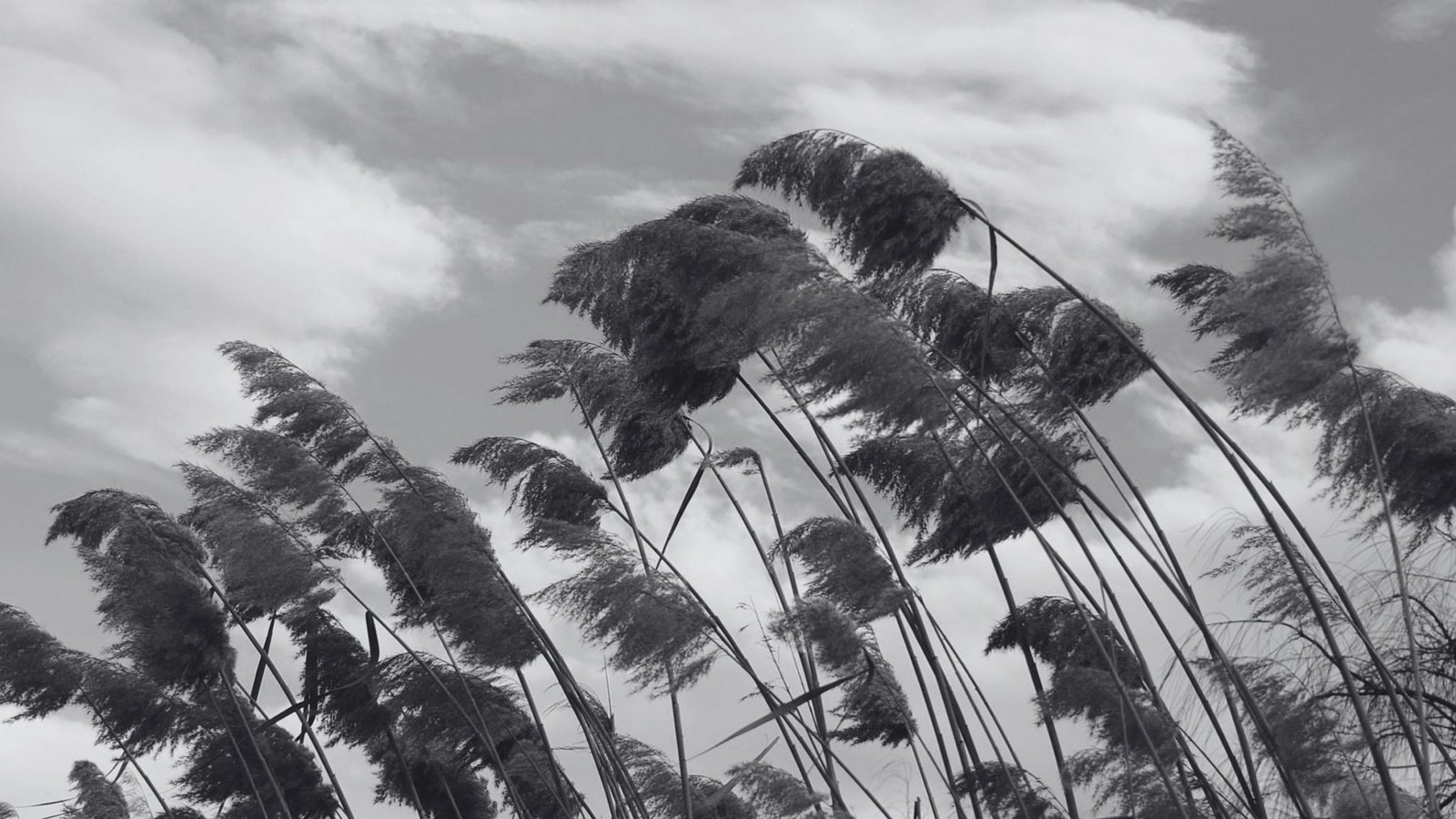 Ciclone extratropical deve provocar temporais e rajadas de vento fortes no Centro-Sul do Brasil. - Pexels/ND Mais