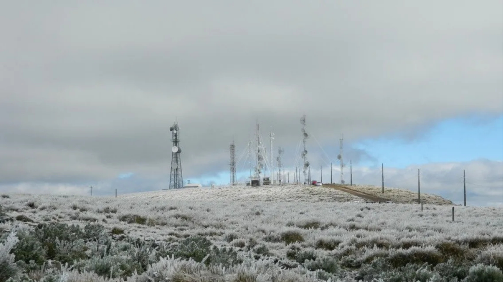 Temperaturas podem ficar abaixo de zero no fim de semana no Sul e trazer chances de geadas - Divulgação/Reprodução Internet/ND