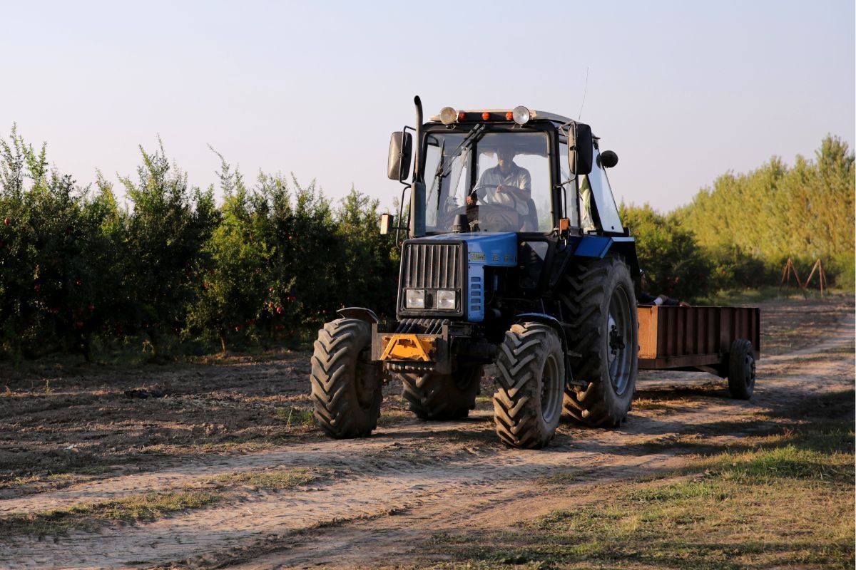 Jeferson da Rocha (PRD) lidera o grupo, com alta de 133,4% (para R$ 14,04 milhões), puxada pela compra de máquinas agrícolas novas.Foto: Divulgação/Freepik/ND