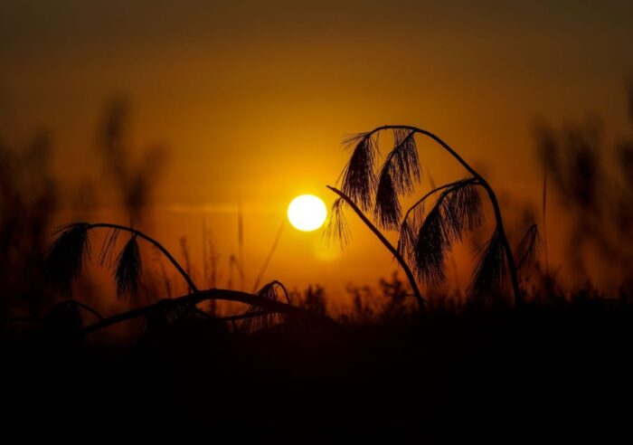 Céu com sol brilhando intensamente em dia de calor
