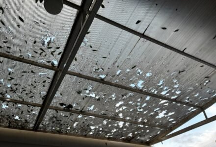Casas e telhados danificados por queda de granizo em Santiago do Sul