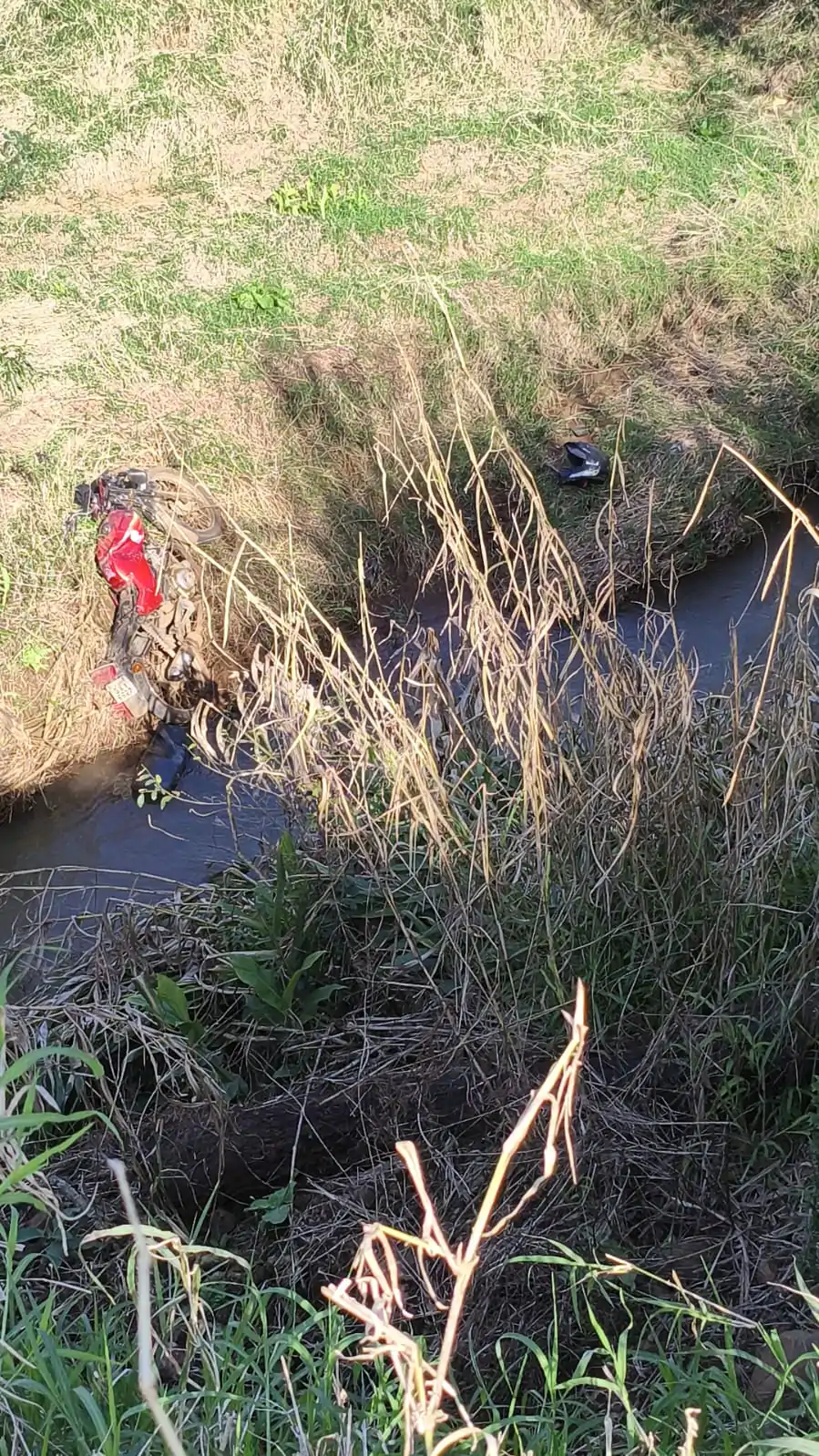 Equipes de resgate atendendo ocorrência de trânsito em área de mata