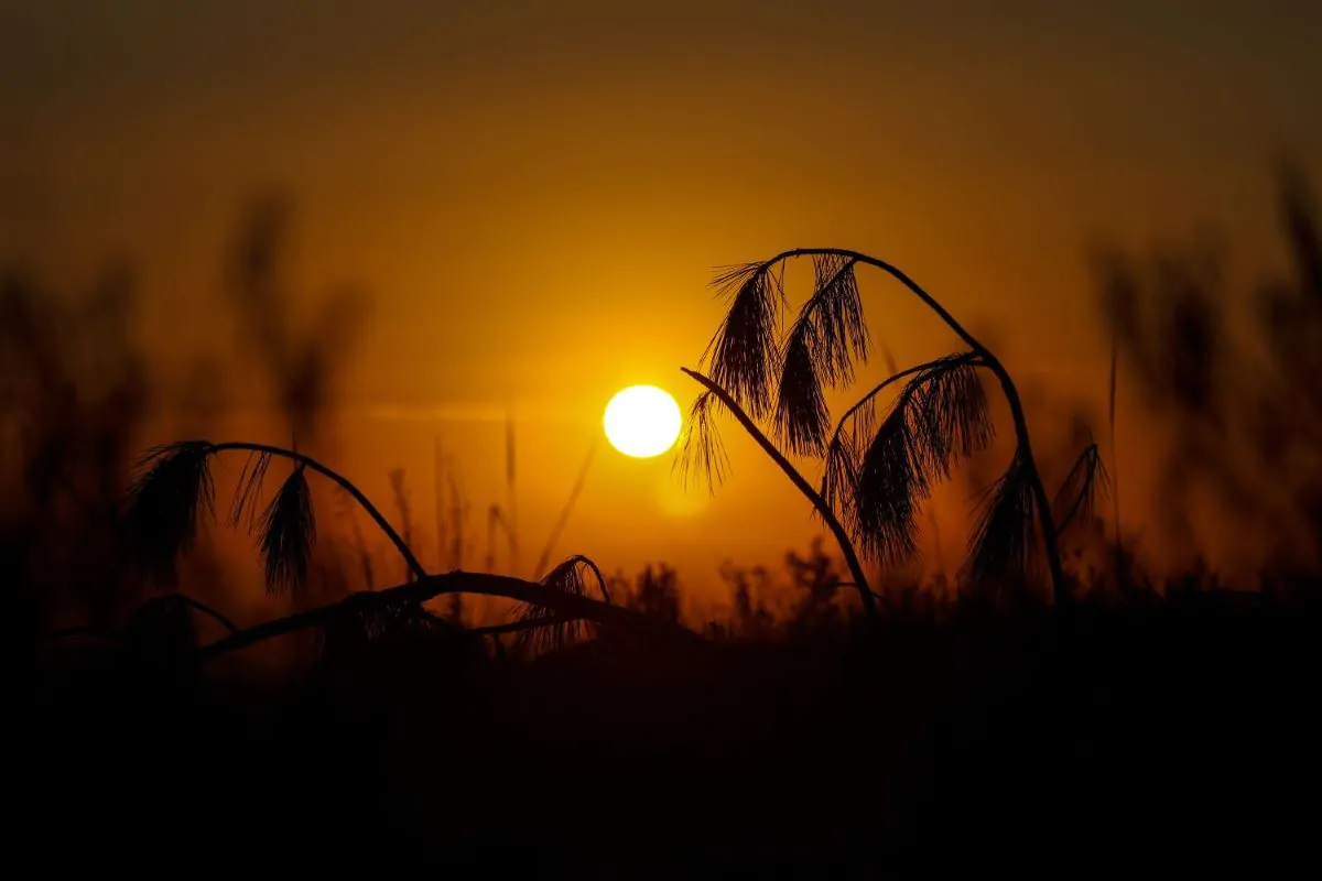 Céu com sol brilhando intensamente em dia de calor
